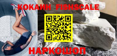 индика Усть-Джегута