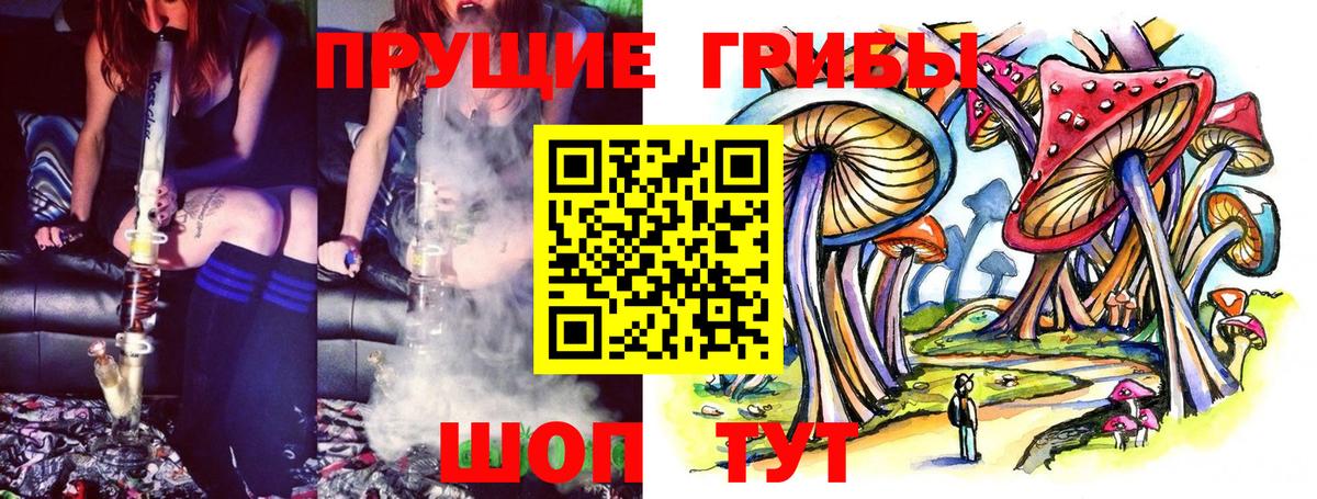 Псилоцибиновые грибы Psilocybine cubensis  Вход с VPN  Мурино 